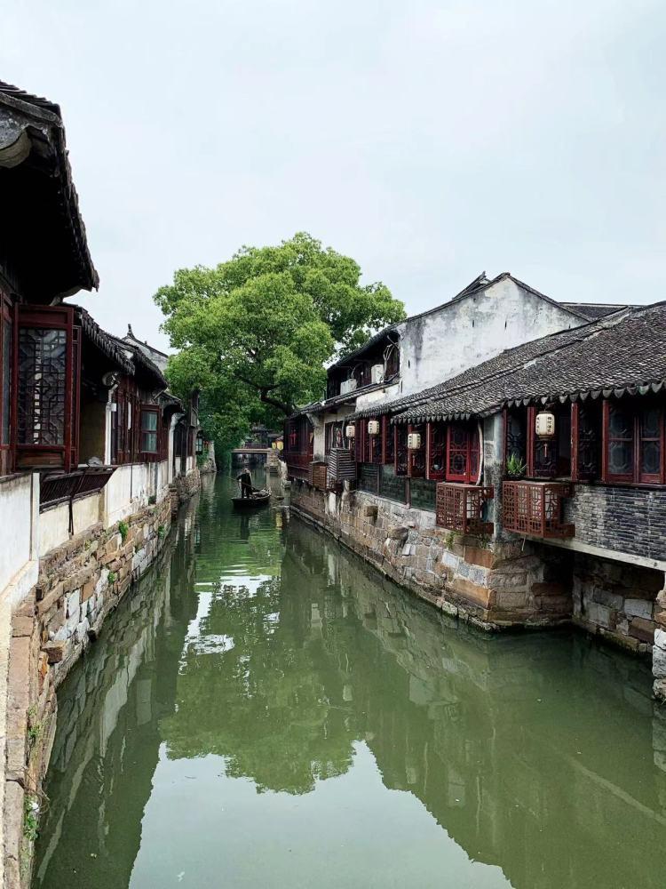 酥黄菜的做法最正宗的做法